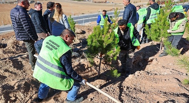 Sivas Belediyesi anlamlı bir çalışmaya imza atarak mevsimlik işçiler adına hatıra ormanı oluşturdu.